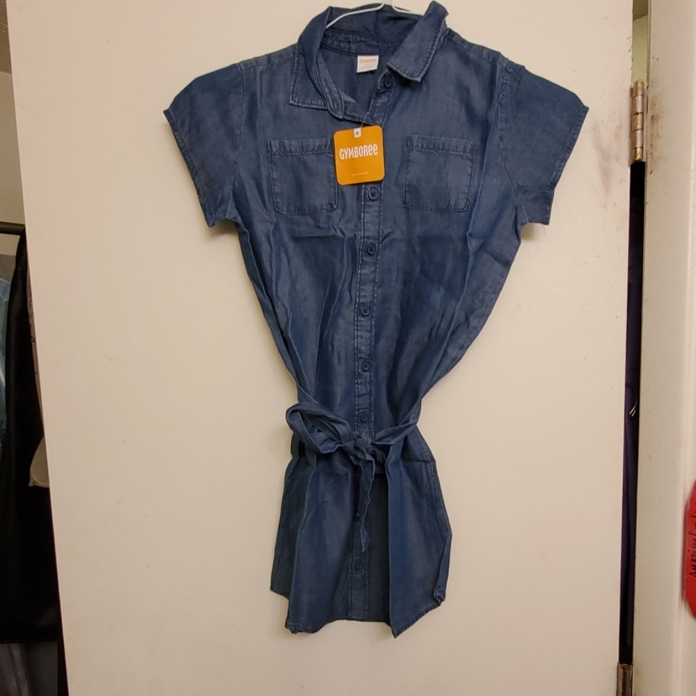 Girls Gymboree chambray dress